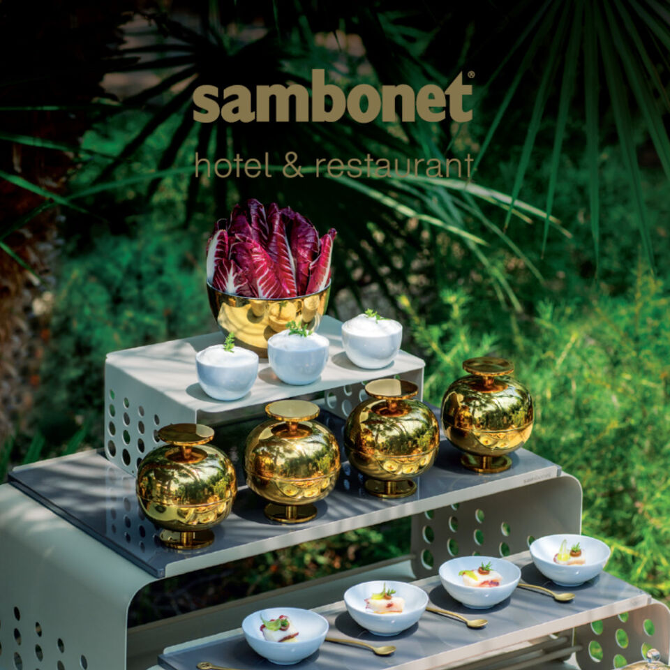 Explore the Collections in our Catalogues