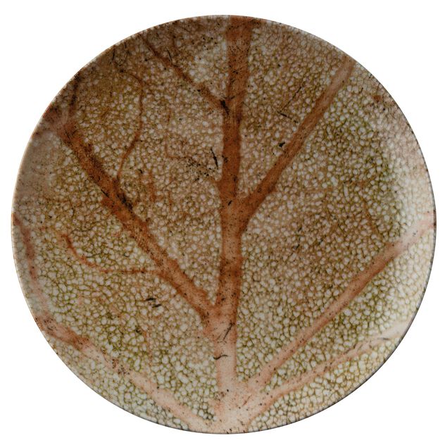 Teller Flach  image number 0