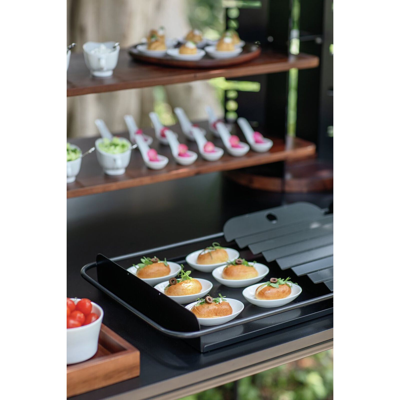 Plateau GN 1/1 image number null