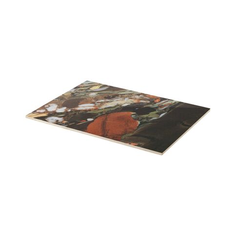 Insert for tray
