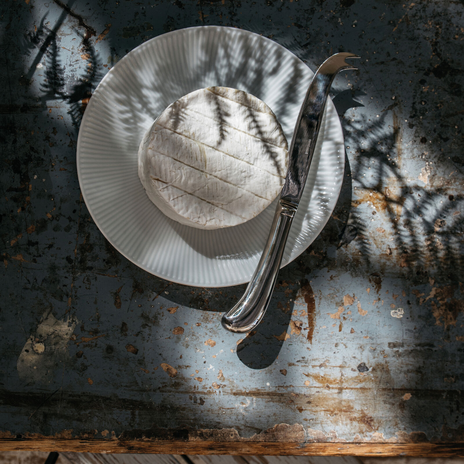 Coltello formaggi teneri  image number null