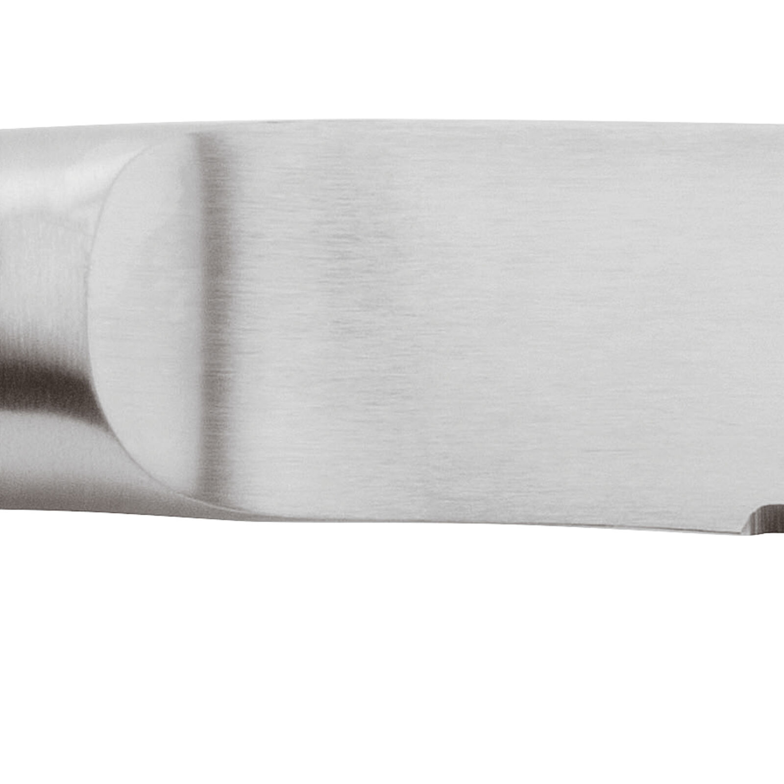 Coltello bistecca  image number null