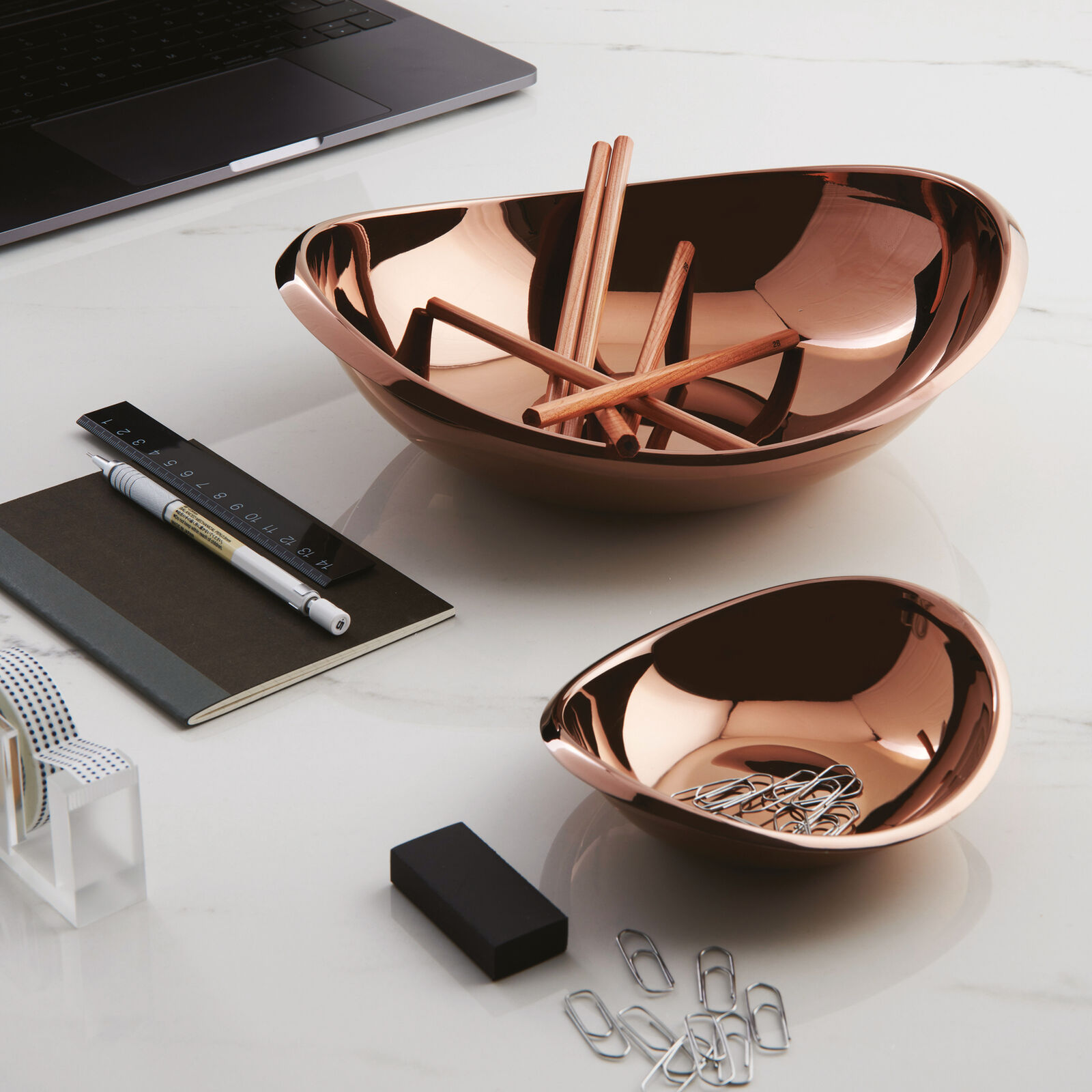 Coppetta  image number null