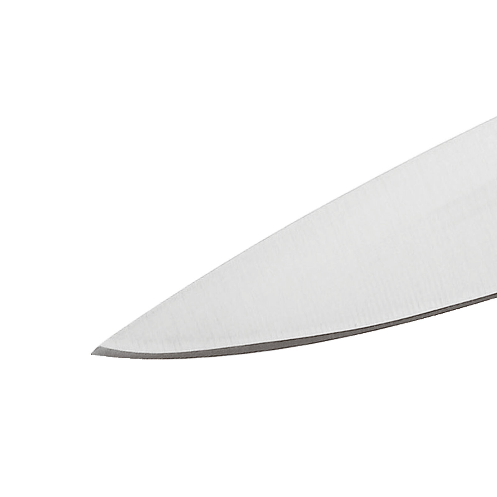 Spelucchino  image number null