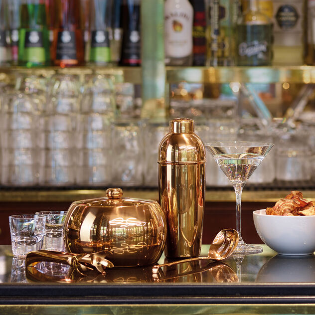 Molla ghiaccio  image number 1